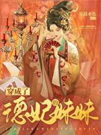 清穿小说德妃
